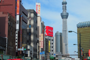 現地確認